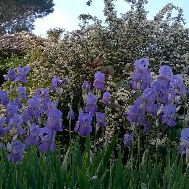 Bed and breakfast Il Casale Dell'ara Delle Rose Roma